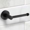 Toilet Paper Holder, Modern, Matte Black